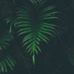 Home 13 larm rmah 273854 unsplash Medium