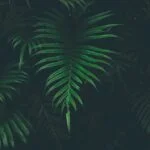 Home 13 larm rmah 273854 unsplash Medium