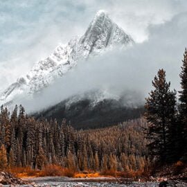 Trekking to the Himalayas